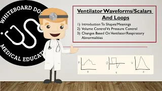 Ventilator Waveforms (Scalars) And Loops - Basic Concepts - Pressure, Flow, And Volume