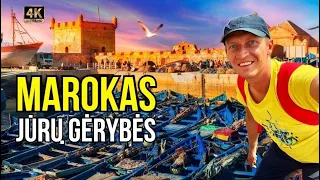 Kelionė į Maroką (2). Istorinis Essaouira žvejų miestas ir keistų jūros gėrybių degustacija