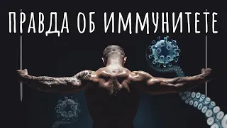 Укрепить иммунитет — возможно ли это? Вот вся правда / #ТЕДсаммари