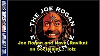 Video Review: Joe Rogan and Naval Ravikat on Socialism