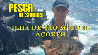 Pesca de Sargos , José Silva com, José Maria Vilar Varela, Samuel Avelino, em São Miguel Açores HD