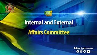 Internal and External Affairs Committee - April 17, 2024