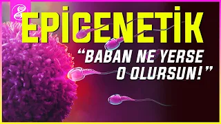 Epigenetik: Kız Halaya, Oğlan Dayıya mı Çeker?