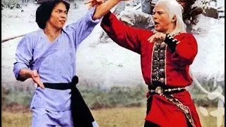 Триумф стилей кунг-фу  (боевые искусства 1980 год)