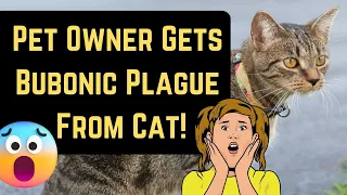 Oregon Cat Owner Contracts Plague! (Could It Affect You?)