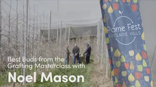 Pome Fest 2020: Best Buds from the Grafting Masterclass with Noel Mason