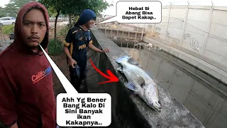 Jadi Tontonan Warga ..!! Gak Ada Yg Tau Kalo Di Tempat ini Banyak ikan Kakapnya Warga Sampe Heboh