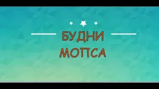 БУДНИ МОПСА/ СМОТРИТ КИНО/ КТО НАДЕЛАЛ?