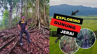 Hiking Gunung Jerai, Trek Tangga 1000 Titi Hayun Yan Kedah Malaysia