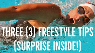 3 Beginner Freestyle Tips - Swimming 101
