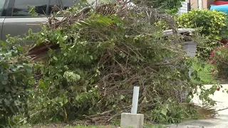 Martin County residents brace for windy conditions