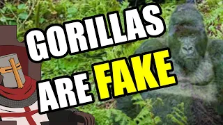 Gorillas Don't Exist (Hans WormHat)