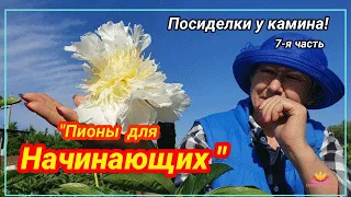 Посиделки у камина. Часть 7.Пионы для начинающих / Сад Ворошиловой