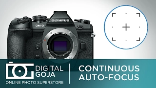 Olympus OM-D EM-1 Mark II Continuous Auto Focus (AF) | FAQ Video Tutorial