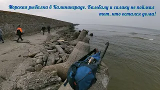 Морская  рыбалка в  Калининграде.Камбалу  и салаку не поймал  тот кто остался сидеть  дома!