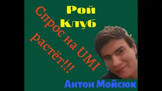 Спрос на UMI растёт!! Какая завтра цена на Umi? || Антон Мойсюк