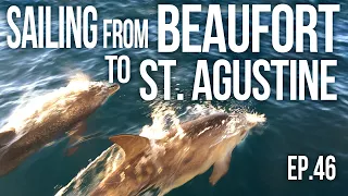 Sailing from Beaufort to Saint Agustine and Dolphins | Sailing Balachandra E046