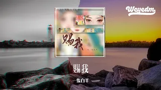 一只白羊 - 赐我 (DJ西柚版)「那些遗憾不甘明明想掩埋 偶尔前缘旧梦偏偏又作怪」【動態歌詞/pīn yīn gē cí】#一只白羊 #赐我 #動態歌詞