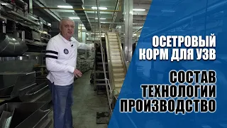 Производство корма для осетра: состав корма и технология