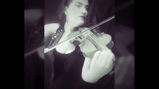 Lonely Day - System of a down (Cover Violin)