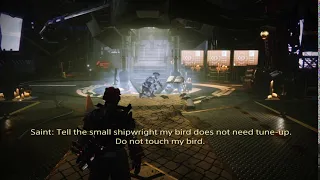 Idle Dialogue, Tower Hangar | Saint-14: "Do Not Touch My Bird" | Season of Dawn