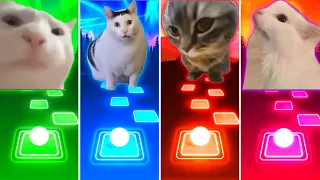 Vibing Cat vs Huh Cat vs Chipi Chipi Chapa Chapa Cat vs Malow Cat - Tiles Hop EDM Rush