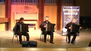 Концерт «Зауральского трио баянистов» посвященного Международному дню пожилого человека