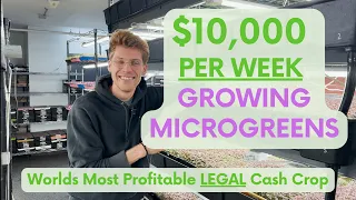 Plant Paradise: Boston Microgreens Vertical Farm Tour