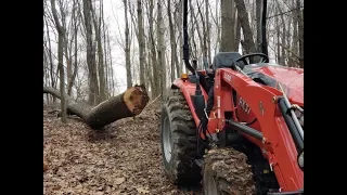 #355 PULLING DOWN HUNG TREES, RK 37 In the Woodlot!