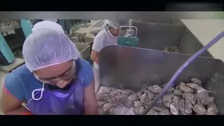 Fast Workers Level 10000 | Best of Amazing Workers Juli 2019 #2