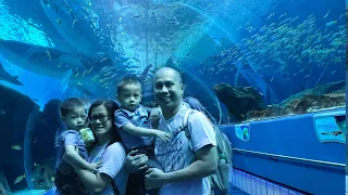 Georgia Aquarium | La Familia Ramos Travels | RAMOS TWINSHOOD