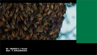 VU du 24/05/23 : La démocratie des abeilles