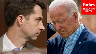 Tom Cotton Grills Biden Nominee On "Divisive" Critical Race Theory Training
