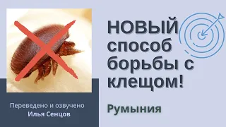 НОВЫЙ способ борьбы с клещом! Муравьиная кислота прямо на расплод (Румыния)