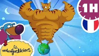 🦥SUPERFLEMME!🦥 - LES MINIJUSTICIERS -Dessin animé HD