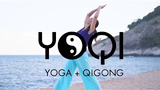 Qigong for Vitality: Opening the Door of Life