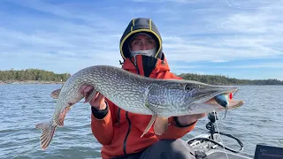 Hechtangeln im Frühjahr in Schweden