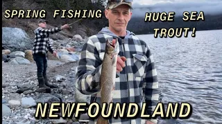 SEA RUN BROOK TROUT fishing trip for HUGE fish! And easy way to clean a trout!(Newfoundland)