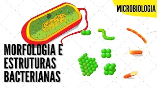 Estruturas e Formas das Células Bacterianas | ANIMAÇÃO