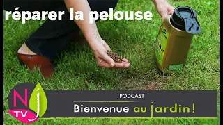 COMMENT ÉVITER D’AVOIR UNE PELOUSE PELÉE ET NOS CONSEILS PRATIQUES POUR LA RÉNOVER AVEC SUCCÈS