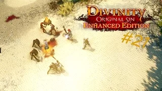 Divinity: Original Sin - Enhanced Edition #21 Cecils mächtiger Stab | Let's Enjoy