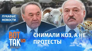 Пропаганда Лукашенко наехала на Назарбаева / Лукавые новости