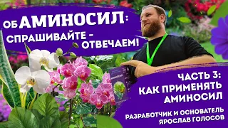 Как применять Аминосил? - отвечает разработчик препарата и основатель Ярослав Голосов. Часть 3.