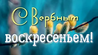 Видео поздравление, пожелание  С Вербным воскресеньем! Красивая музыка и стихи для души!