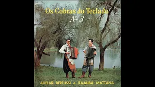 05 Voando Baixinho - Adelar Bertussi e ItajaibaMattana - Os Cobras Do Teclado N 3 (1969)