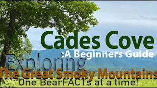 Cades Cove: A Beginners Guide