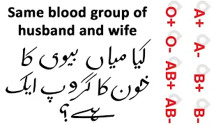 What happens if the husband and wife are of same blood group? (Urdu/Hindi)