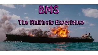 Falcon BMS - The Multirole Experience