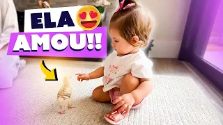 POLIANA DEU UM PINTINHO PARA MARIA ALICE E EU FILMEI A REAÇÃO DELA!!