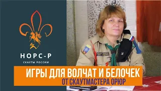 Работа с младшими скаутами (волчата и белочки). Цикловые игры.